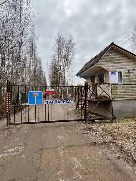 Участок в Ленинградская область, Всеволожский район, Рахьинское ... - Фото 1