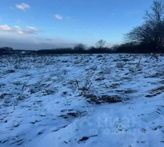 Участок в Московская область, Зарайск муниципальный округ, д. Латыгори ... - Фото 1