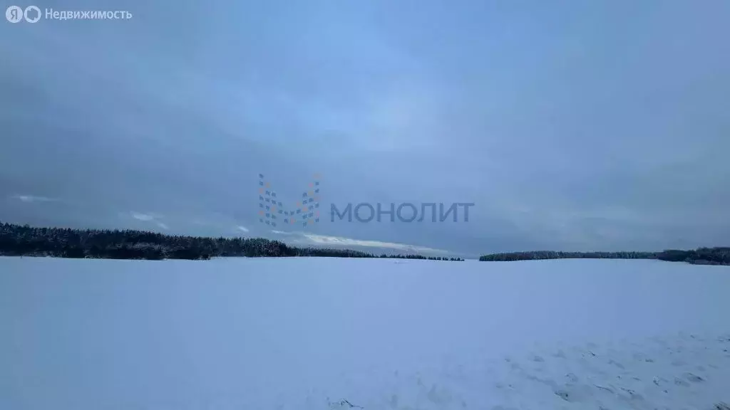 Участок в Бобинское сельское поселение, деревня Митино (510 м) - Фото 1