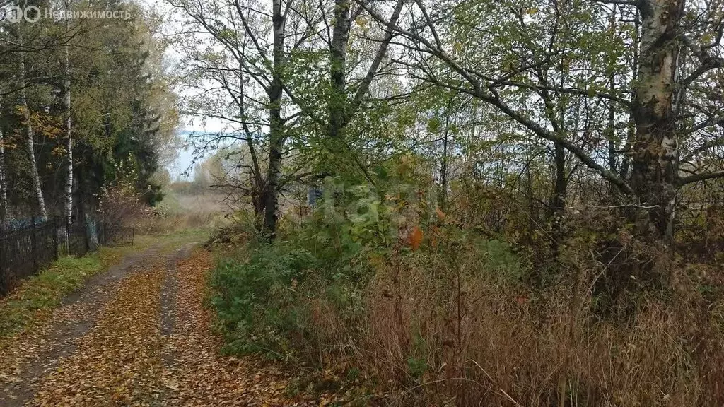 Участок в Костромская область, Макарьевский муниципальный округ, село ... - Фото 2