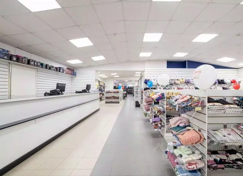 Помещение свободного назначения в Санкт-Петербург, Санкт-Петербург, ... - Фото 1