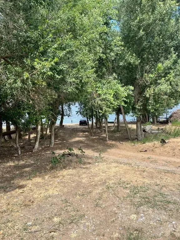 Участок в Астраханская область, Приволжский район, Елочка садовое ... - Фото 1