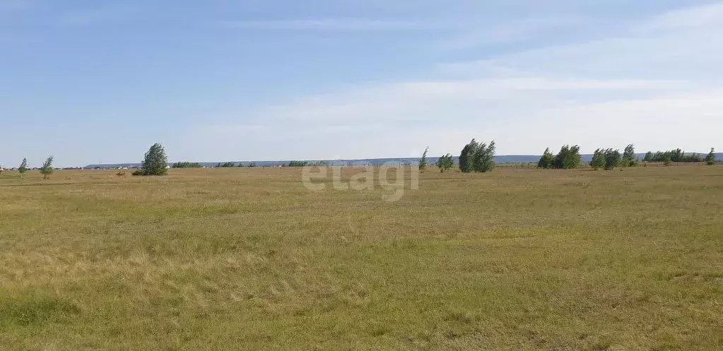 Участок, 300 сот., сельхоз (снт или днп) - Фото 0