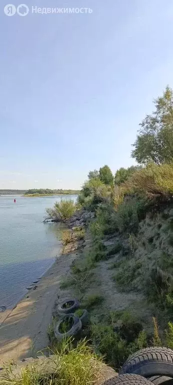 Участок в Колыванский район, садоводческое некоммерческое товарищество ... - Фото 1