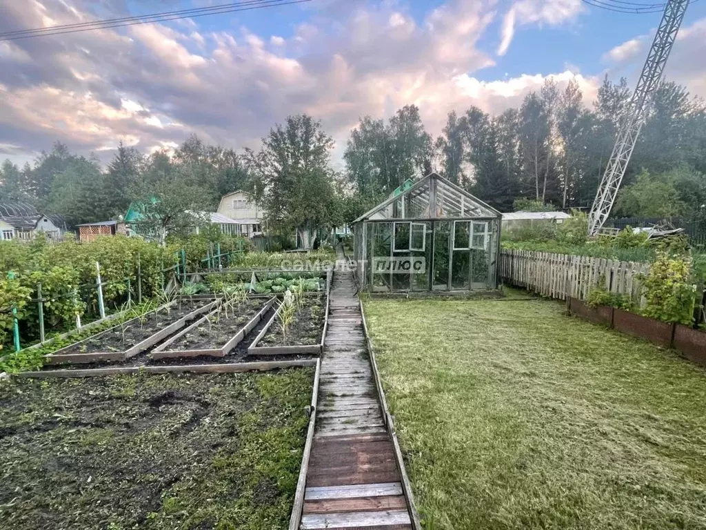 Дом в Московская область, Электросталь Северный СНТ,  (30 м) - Фото 2