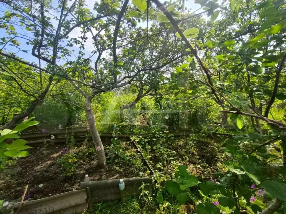 Участок 7 сот. (СНТ, ДНП) - Фото 0