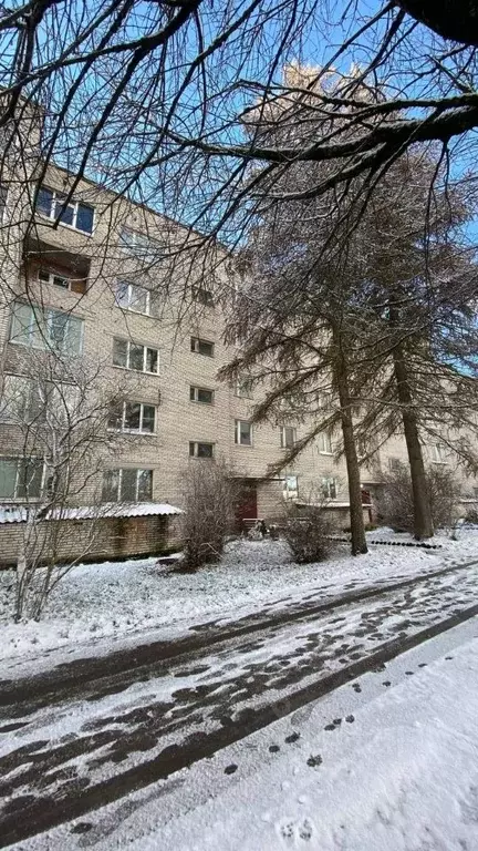 2-к кв. Ленинградская область, Волосовский район, Калитинское с/пос, ... - Фото 1