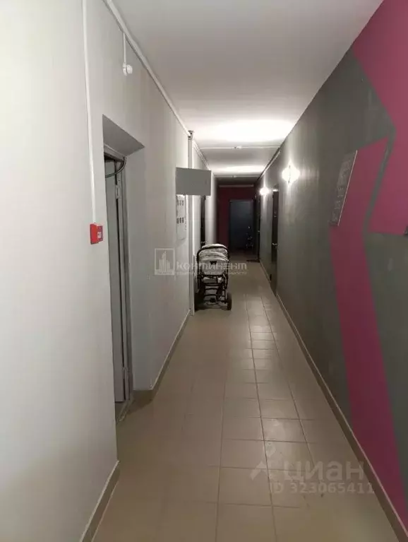 Торговая площадь в Владимирская область, Владимир ул. Нижняя Дуброва, ... - Фото 1