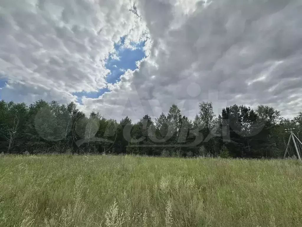 Участок 55 сот. (СНТ, ДНП) - Фото 0