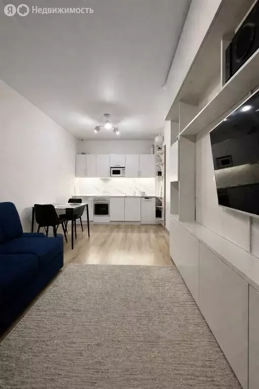 1-комнатная квартира: деревня Анкудиновка, Русская улица, 15 (42.2 м) - Фото 2