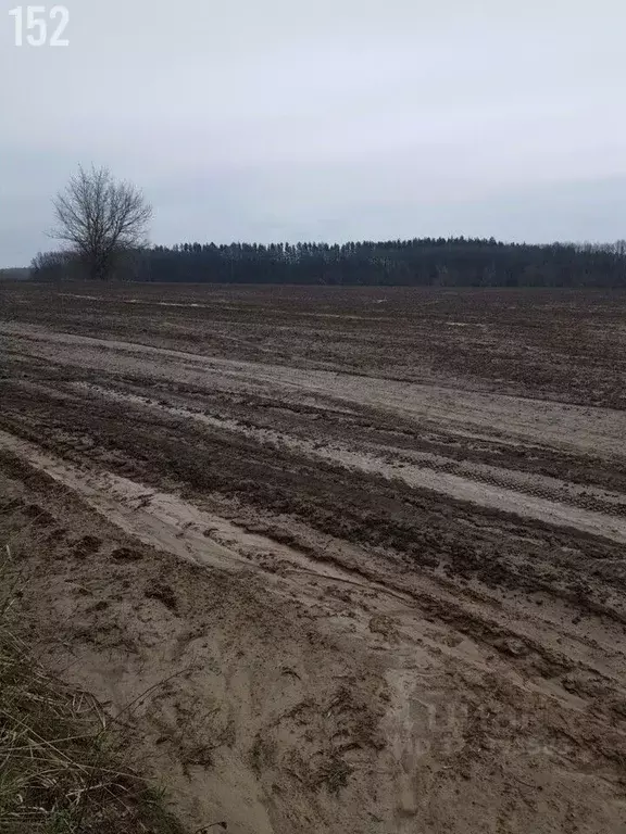 Участок в Орловская область, Орловский муниципальный округ, д. ... - Фото 2