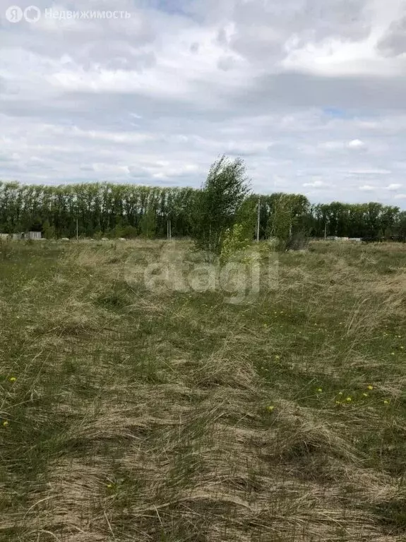 Участок в Лямбирский район, село Берсеневка (15 м) - Фото 1