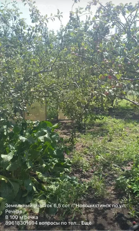 Участок в Шахты, улица Устинова, 63 (9 м) - Фото 0