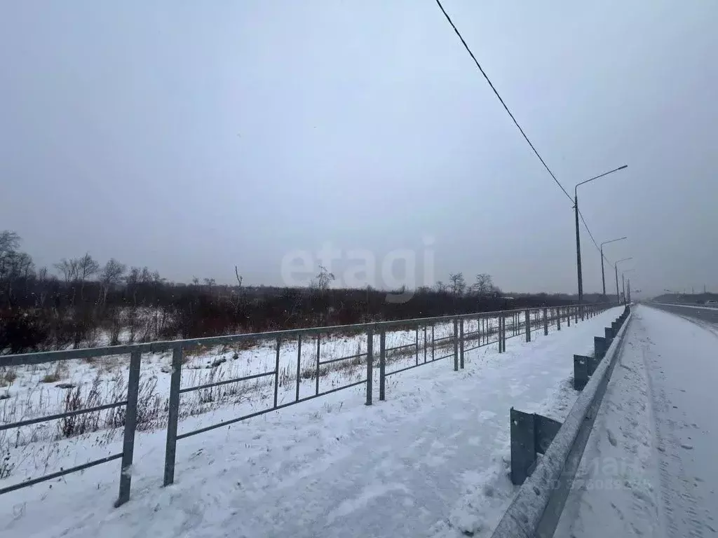 Участок в Камчатский край, Елизово  (59.0 сот.) - Фото 2