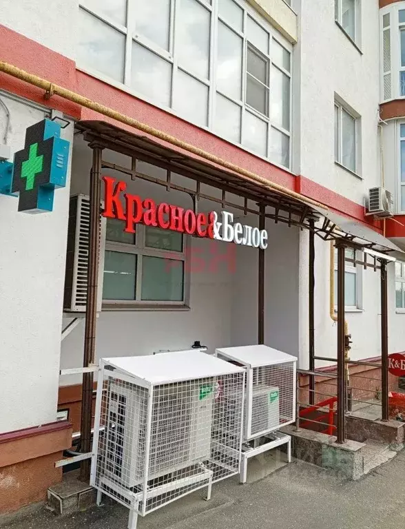 Торговая площадь в Пензенская область, Пенза ул. Чкалова (114 м) - Фото 1