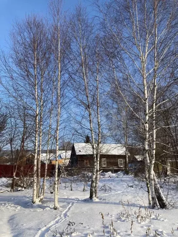 Участок в Пензенская область, Лунинский район, с. Большой Вьяс ... - Фото 1