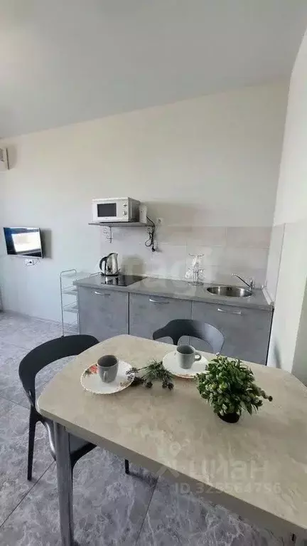 Студия Новосибирская область, Новосибирск Железнодорожная ул., 15/1 ... - Фото 1