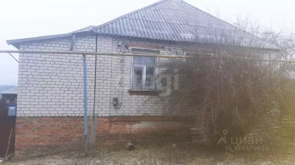 Дом в Белгородская область, Новооскольский муниципальный округ, с. ... - Фото 1
