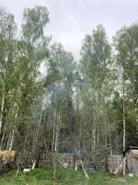 Участок в Нижегородская область, Балахнинский муниципальный округ, ... - Фото 1