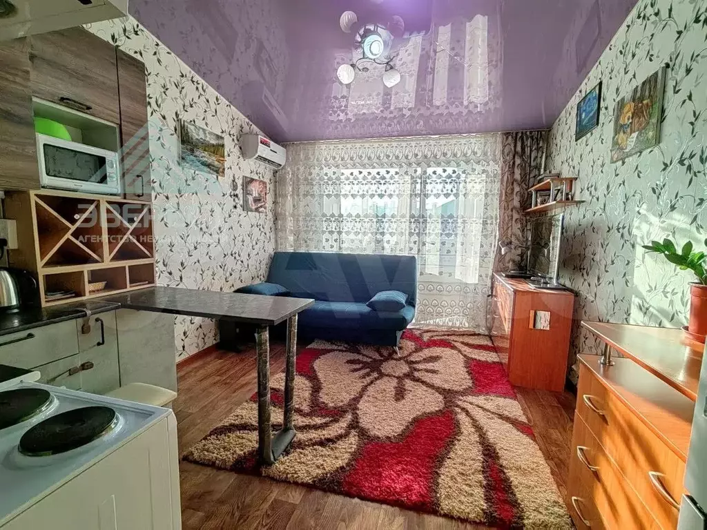 квартира-студия, 22,9 м, 7/7 эт. - Фото 0