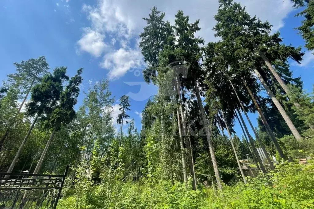 Участок в Московская область, Одинцовский городской округ, д. Бородки, ... - Фото 1