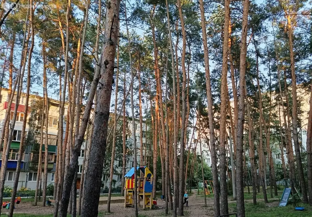 3-комнатная квартира: Сызрань, проспект Королёва, 12 (58.5 м) - Фото 1