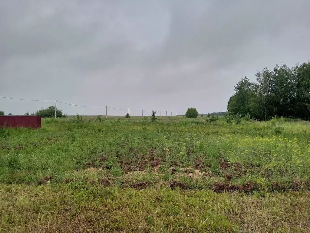 Участок в Московская область, Коломна городской округ, д. Молитвино ... - Фото 2