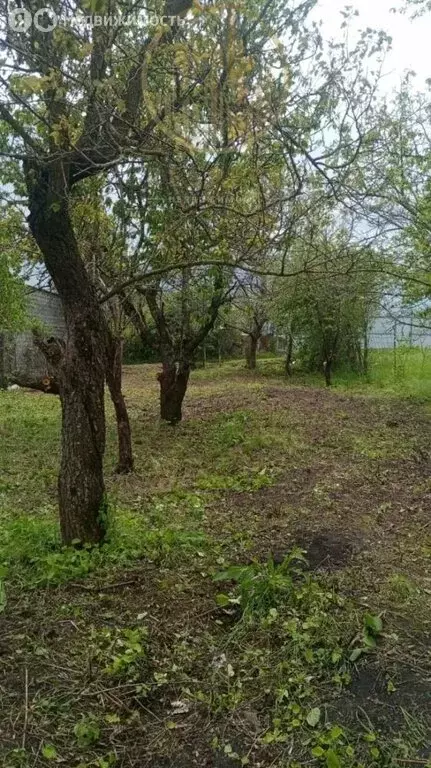 Участок в Пятигорск, садоводческий массив № 9, СТ Дружба, Добрая улица ... - Фото 2