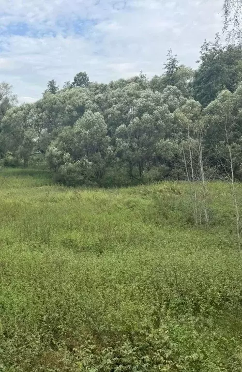 Участок в Московская область, Домодедово городской округ, д. Калачево ... - Фото 1