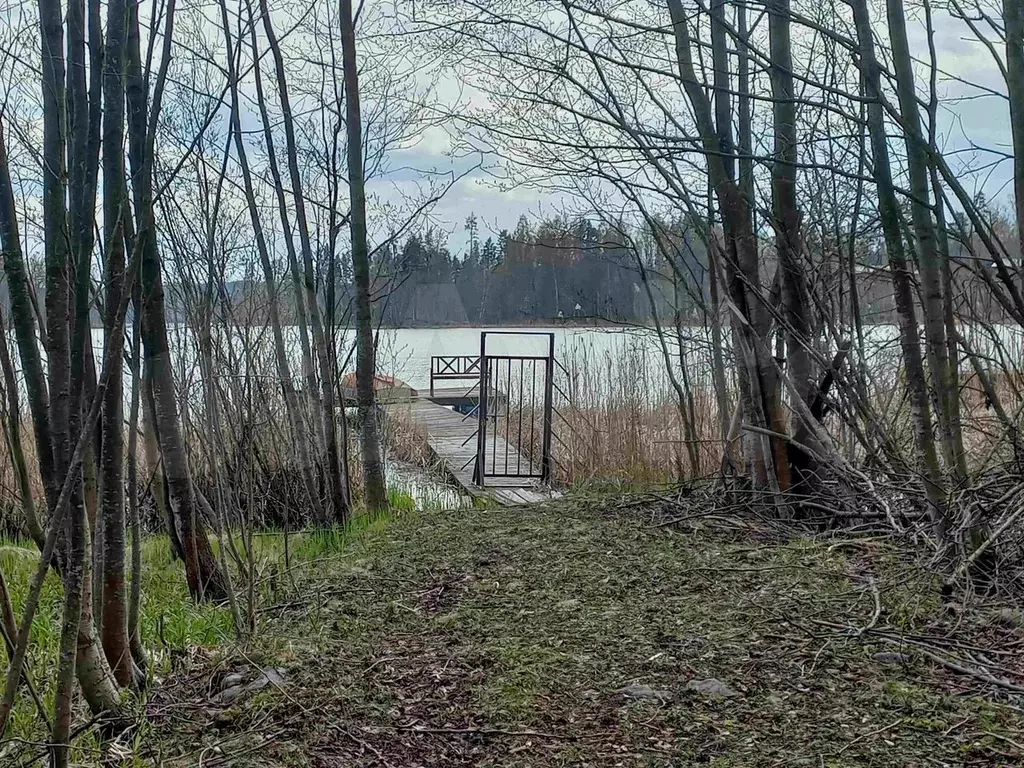 Участок 16,5 сот. (ИЖС) - Фото 0