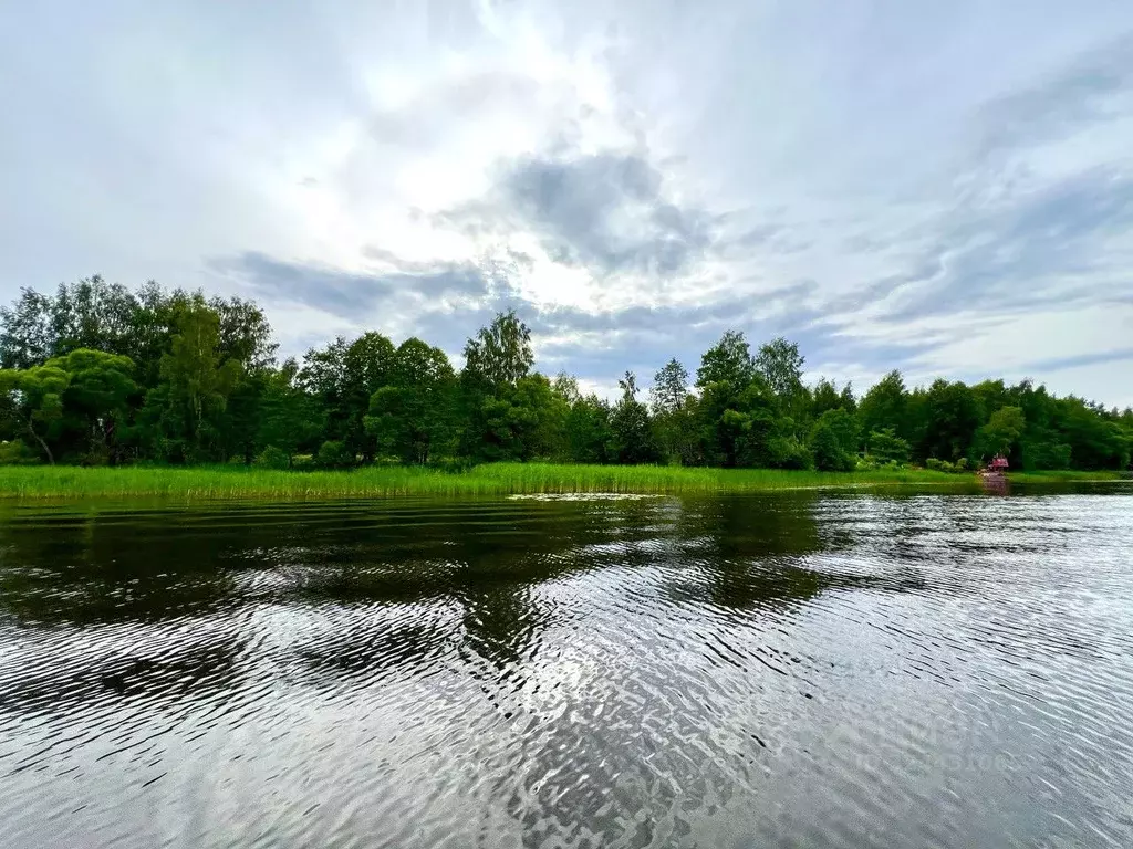Участок в Тверская область, Конаковский муниципальный округ, д. Бабня ... - Фото 1