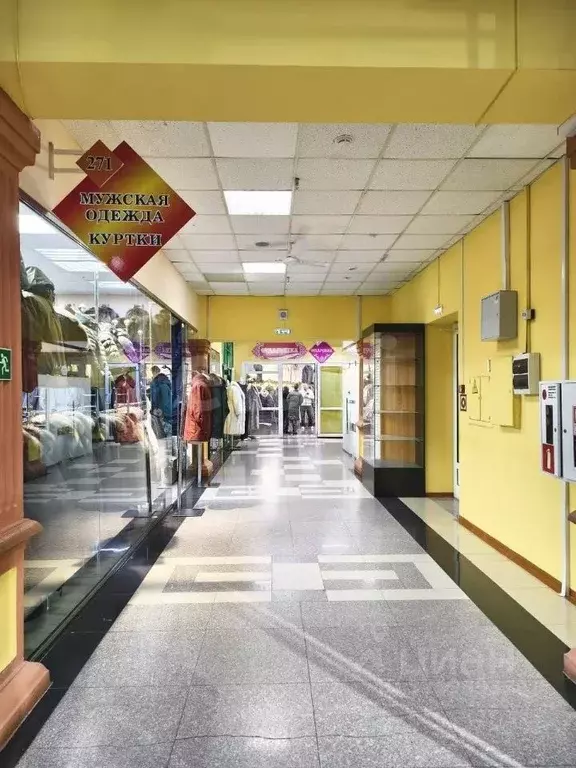 Торговая площадь в Амурская область, Благовещенск Красноармейская ул., ... - Фото 2