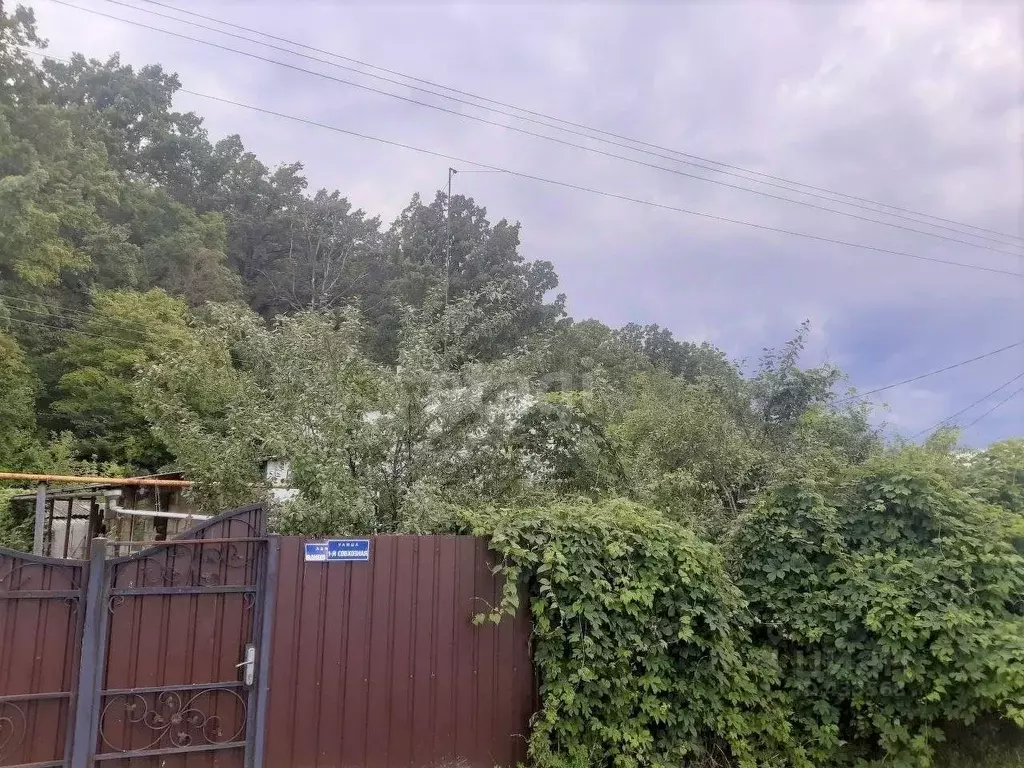Дом в Белгородская область, Новооскольский городской округ, пос. ... - Фото 0