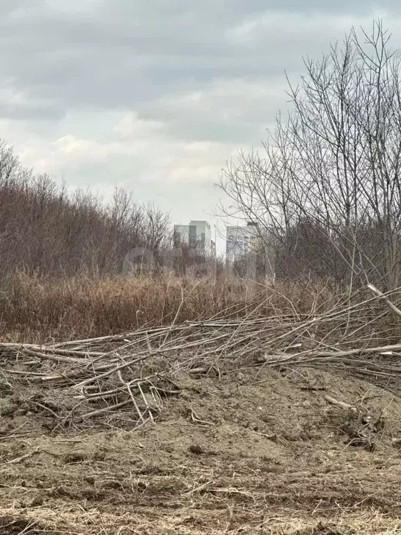 Участок в Сахалинская область, Анивский городской округ, с. ... - Фото 1