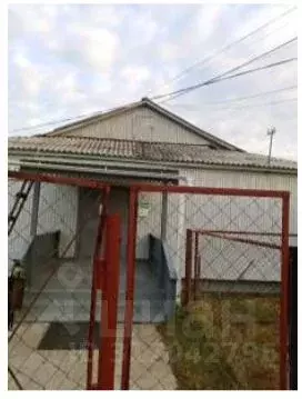 Помещение свободного назначения в Забайкальский край, Каларский ... - Фото 0