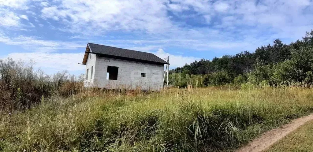 Дом в Воронежская область, Рамонский район, с. Русская Гвоздевка ... - Фото 0