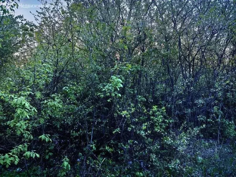 Участок в посёлок Водный, Центральная улица, 17 (20 м) - Фото 2