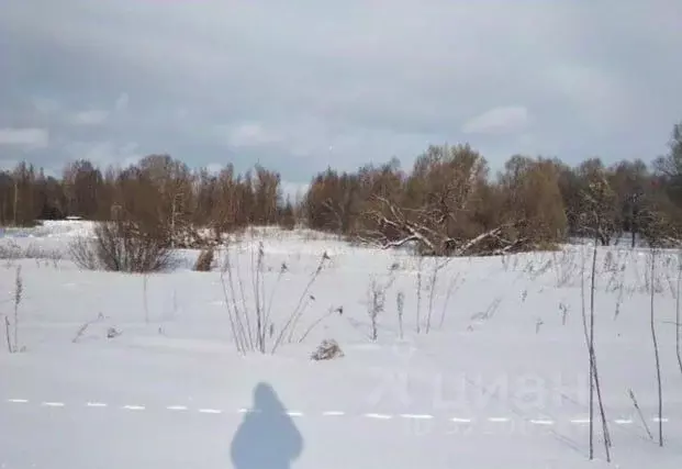 Участок в Московская область, Дмитровский муниципальный округ, с. ... - Фото 1