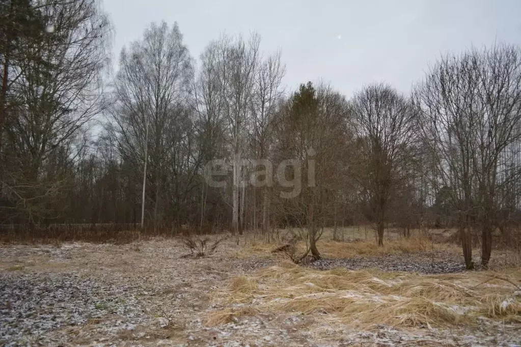Участок в Псковская область, Порховский муниципальный округ, Медик СНТ ... - Фото 1