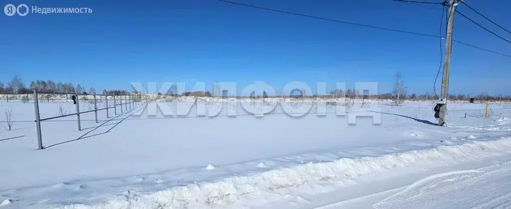 Участок в Новосибирский район, Верх-Тулинский сельсовет, посёлок ... - Фото 1