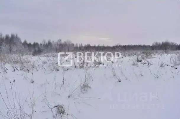 Участок в Ивановская область, Ивановский район, Куликовское с/пос, д. ... - Фото 2