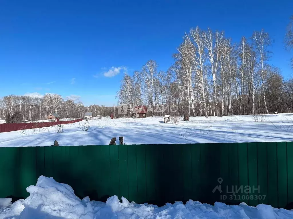 Участок в Новосибирская область, Искитимский район, Морозовский ... - Фото 0