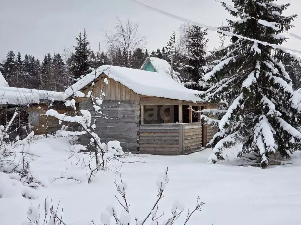 Дом в Архангельская область, Приморский муниципальный округ, Связист ... - Фото 1