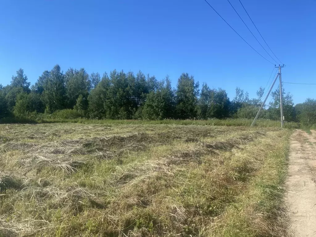 Участок в Ярославская область, Переславль-Залесский городской округ, ... - Фото 1