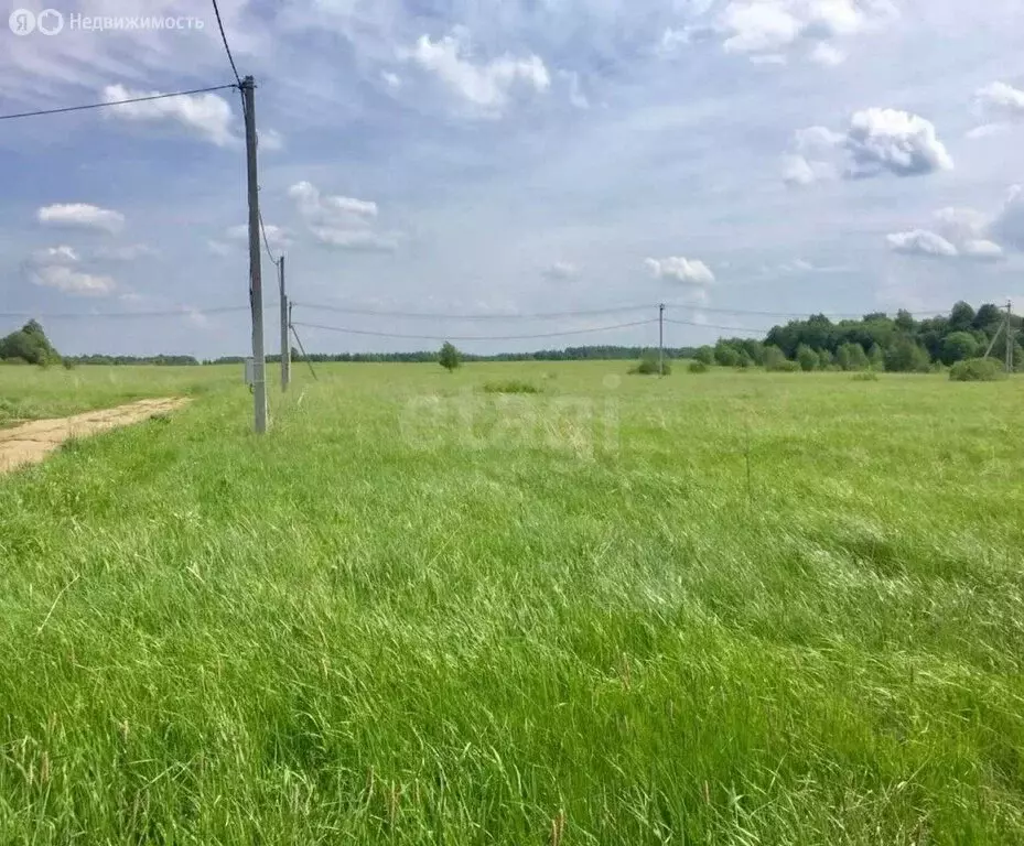 Участок в село Сокуры, коттеджный посёлок Новые Сокуры- 3 (50 м) - Фото 2