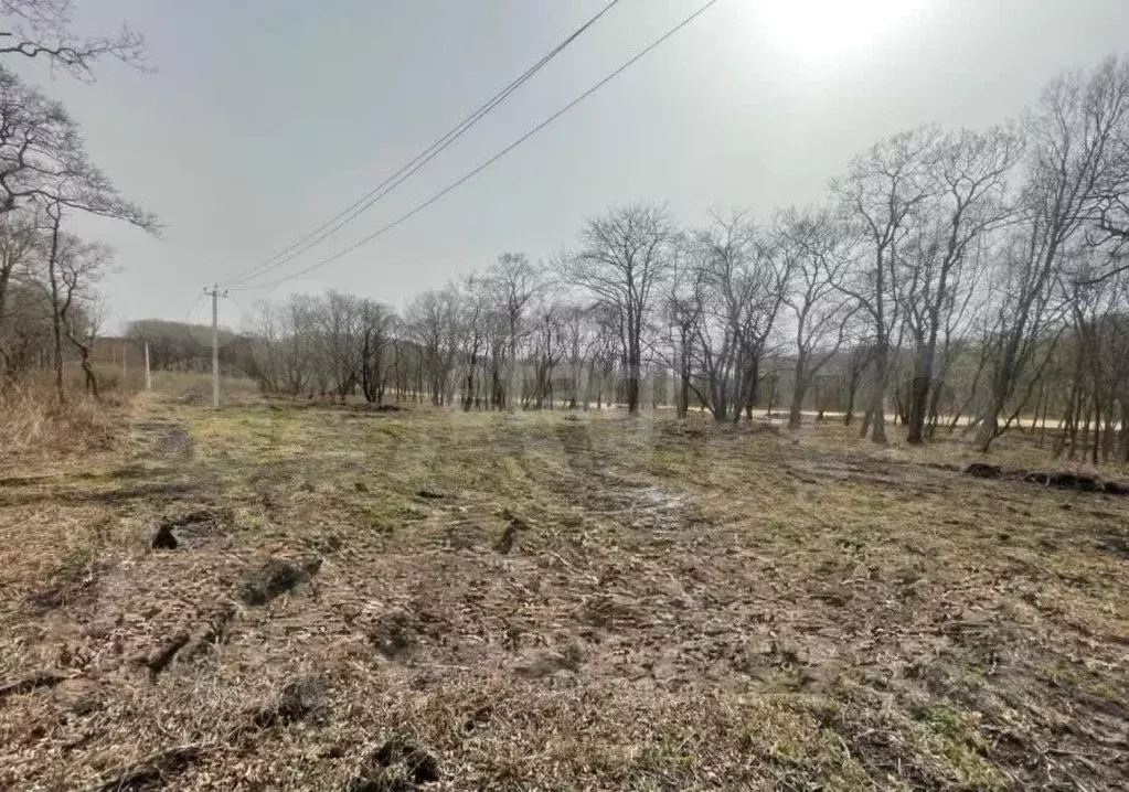 Участок 45,1 сот. (ИЖС) - Фото 0