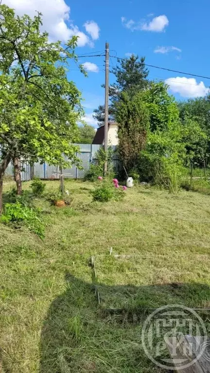 Дом в Санкт-Петербург Торики-2 СНТ, ул. Центральная (45 м) - Фото 1