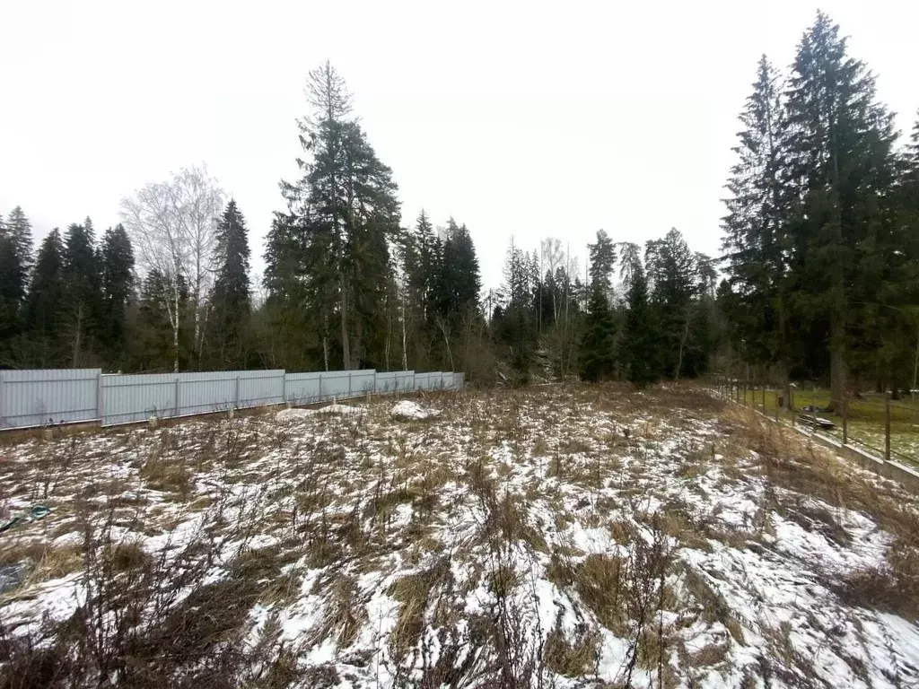 Участок в Московская область, Солнечногорск городской округ, д. ... - Фото 2