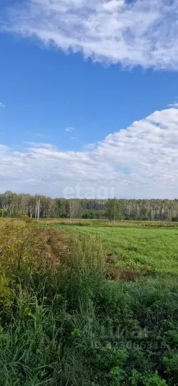 Участок в Новосибирская область, Искитимский район, Гусельниковский ... - Фото 2