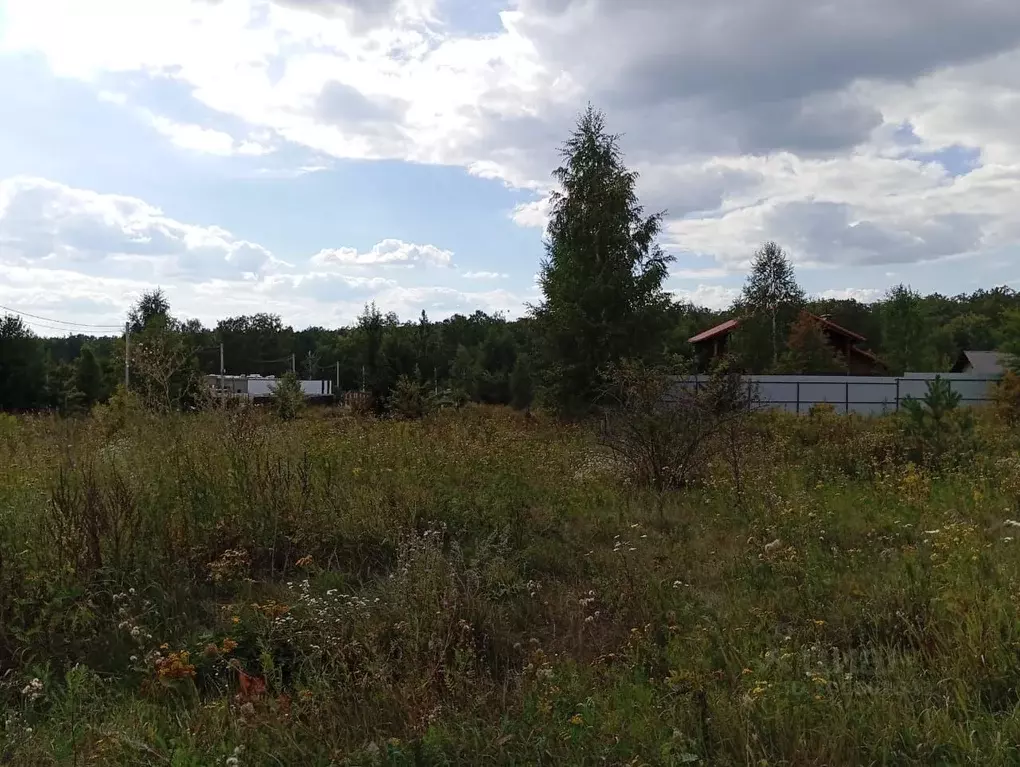 Участок в Воронежская область, Рамонский район, Яменское с/пос, Ветряк ... - Фото 1